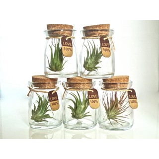 HỦ THỦY TINH NẮP GỖ ÉP 100ml /200ml HỦ TRANG TRÍ