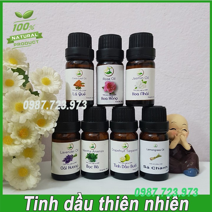 Tinh Dầu Thiên Nhiên Nhập Khẩu - Chai nhỏ 10ml [Tùy Chọn Mùi]