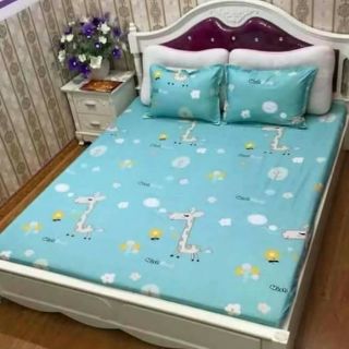 Ga gối cotton poly