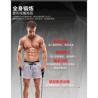 Dây Đàn Hồi Tập Cơ Tay