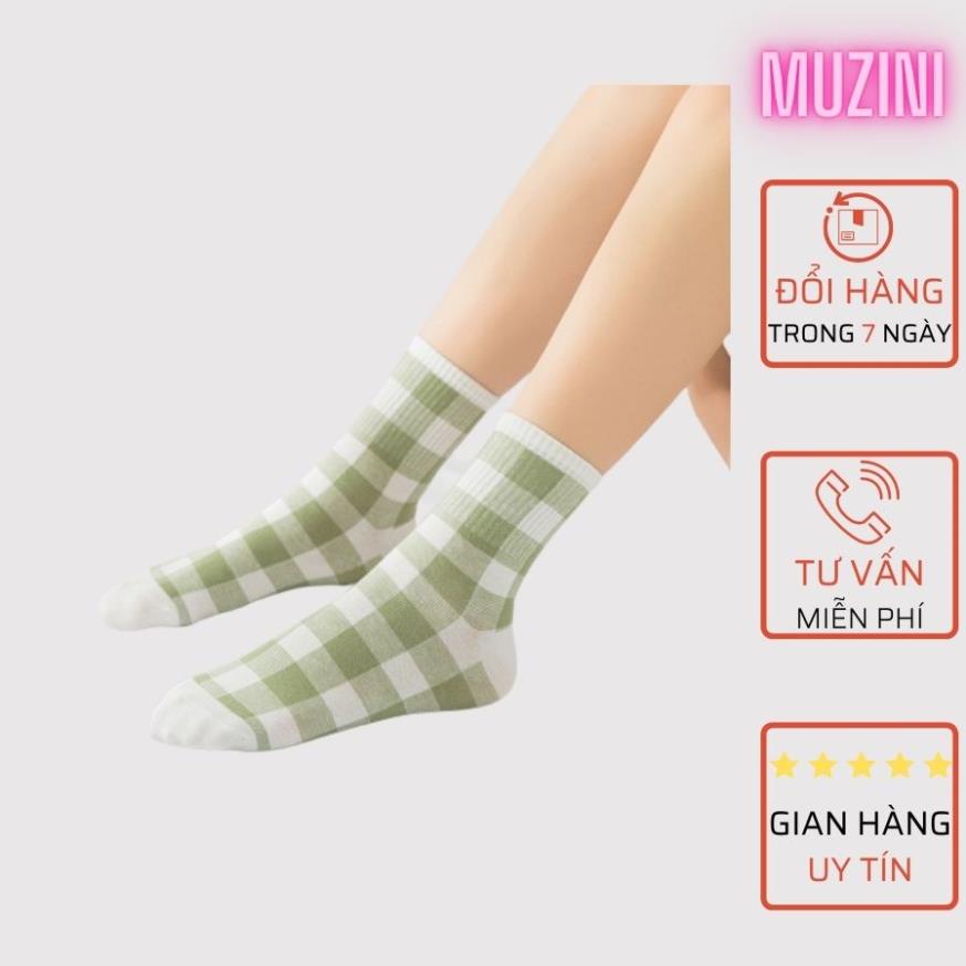 Set 3 vớ nữ cổ cao cute in hình quả bơ xanh siêu xinh tkutrang TN95