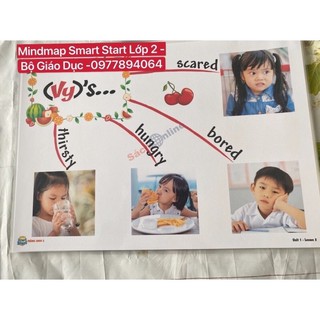 Combo Flashcard  và  Mindmap  Smart Start Lớp 2- Ép plastics bền đẹp
