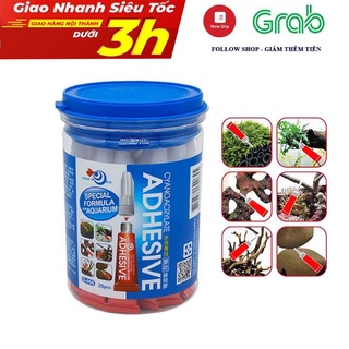 Keo dán thủy sinh - dán rêu dán cây