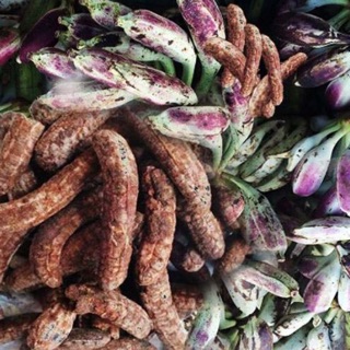 quả chuối hột rừng Điện Biên