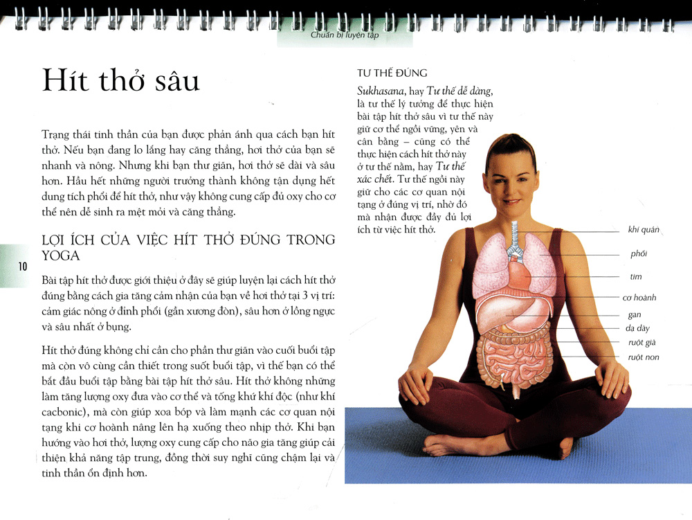 Sách Yoga Cho Sức Khỏe Vững Bền