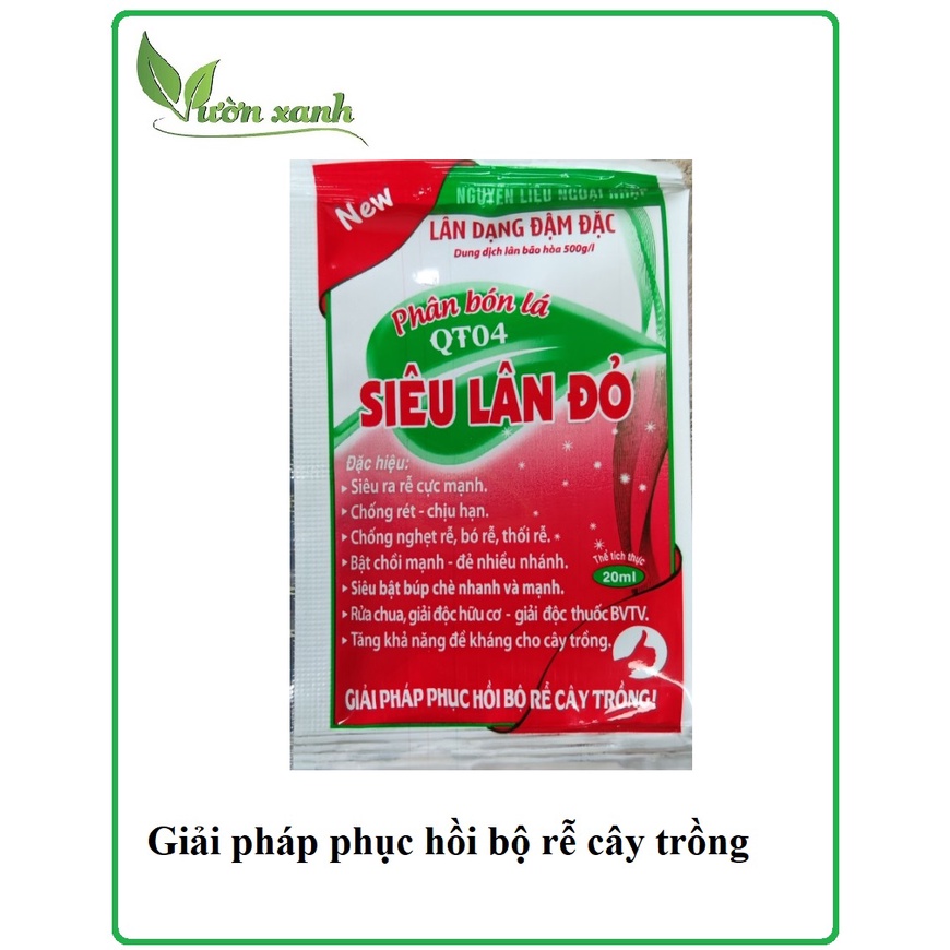 Siêu lân đỏ đậm đặc- cây khỏe, rễ mạnh (có thể dùng cho cây vừa đảo bầu, trồng lại..)