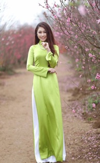 Vải áo dài phi bóng trơn