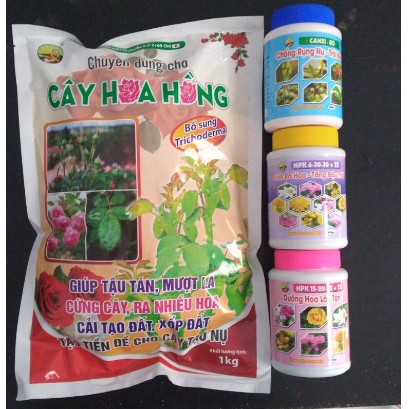 Bộ 4 phân bón chỗng rụng nụ - kích ra hoa - dưỡng hoa lâu tàn cho cây hoa Hồng ( p. hoa hồng, 6-30,15-20-25)