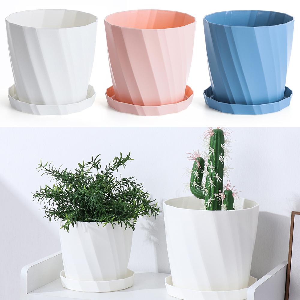 Chậu Hoa Trang Trí Nhà Cửa / Văn Phòng Xinh Xắn