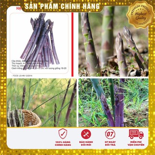 Hạt Giống Măng Tây Tím 10 hạt