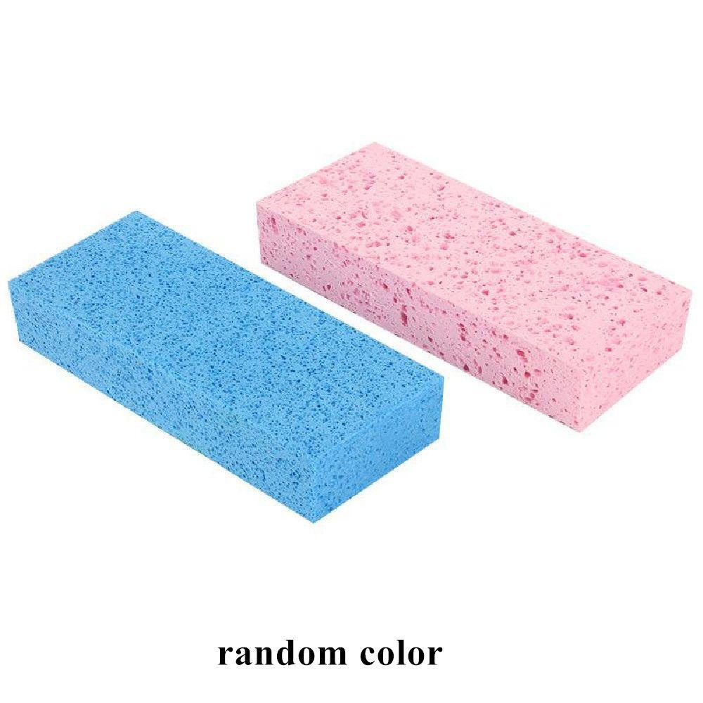 Daphs Mút Thấm Hút Nước Dùng Vẽ Tranh Nghệ Thuật