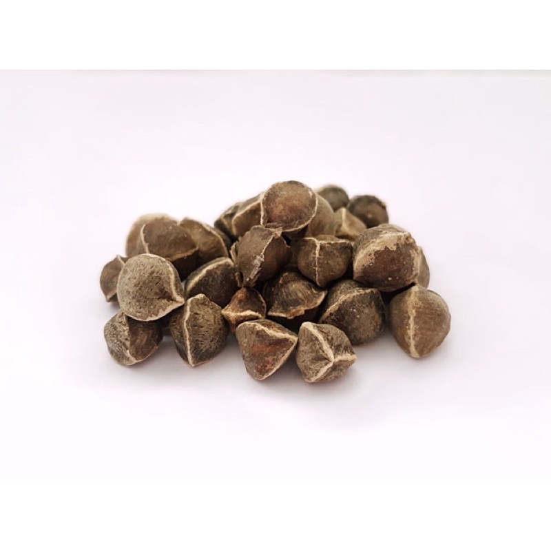 500G Hạt chùm ngây khô