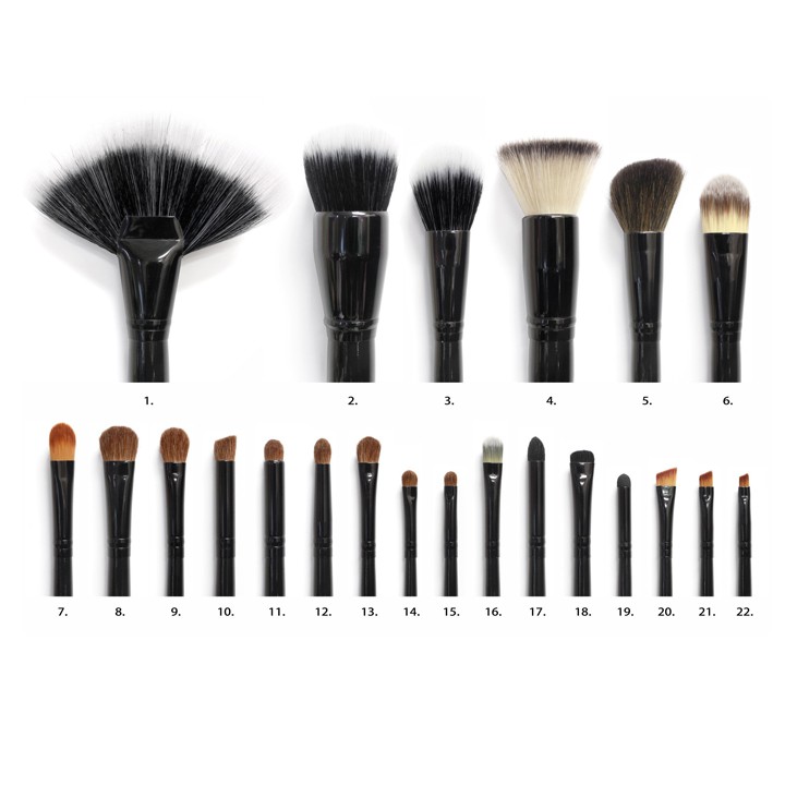 Coastal Scents 22 Piece Brush Set