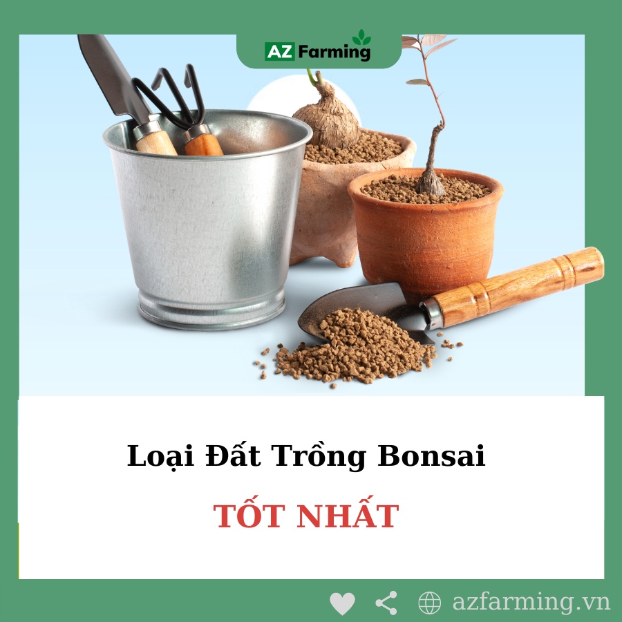 Đất Akadama Trồng Bonsai Nhật Bản - Bao 1kg - AZ Farming