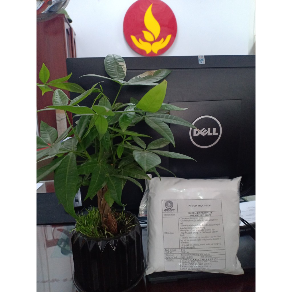 1KG BỘT NỞ THỰC PHẨM - SODIUM BICARBONATE - NaHCO3 - NATRI BICACBONAT