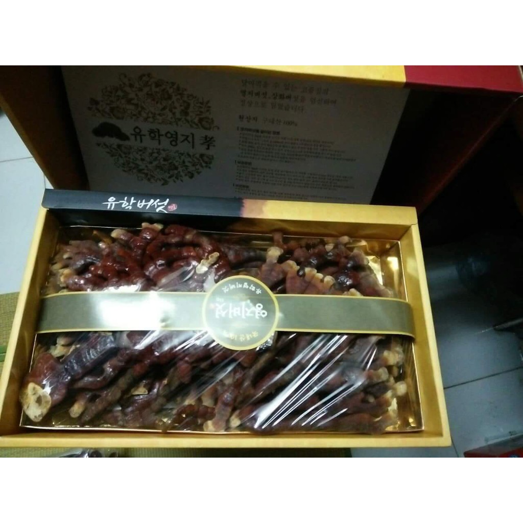 【﻿ＧＩÁ　ＳỈ】- Nấm Linh Chi Sừng Hươu Hàn Quốc hộp 500gr chính hãng | BigBuy360 - bigbuy360.vn