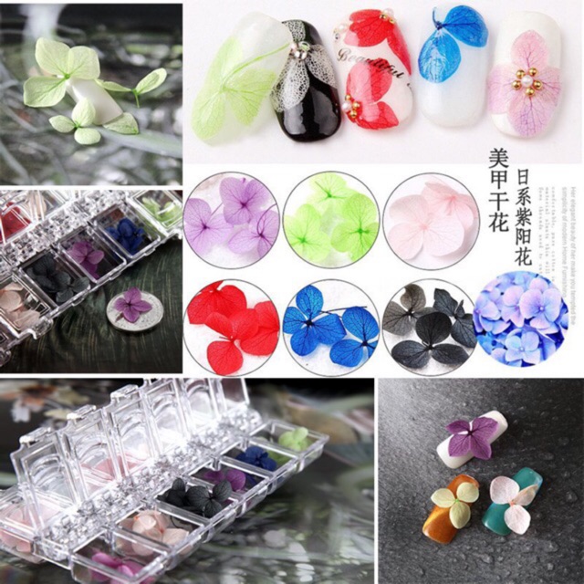 hoa khô trang trí nail