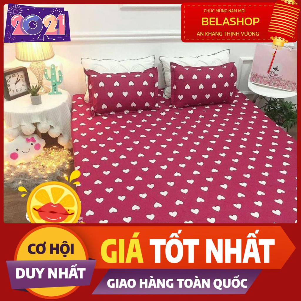 Bộ ga gối Drap 1m6 Cotton Poly Vikona mã 14