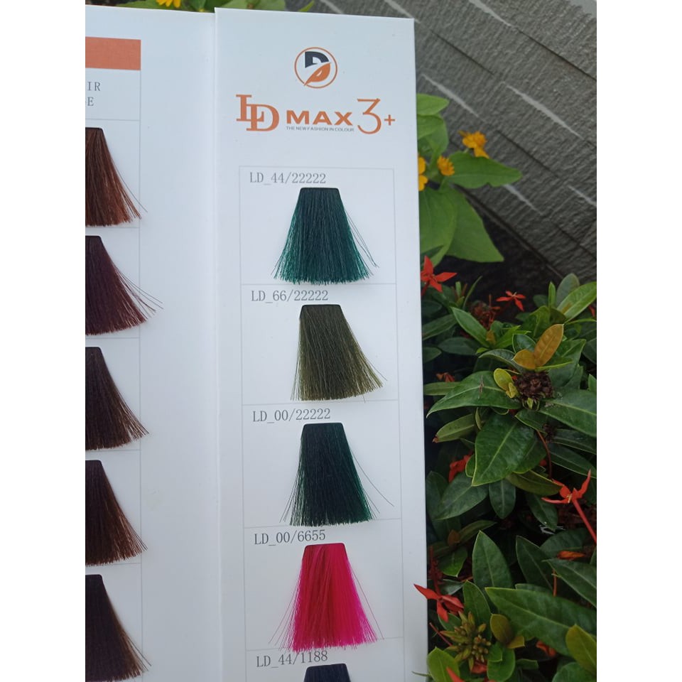 Bảng Màu Thuốc Nhuộm Tóc LDMAX 58 Màu thời trang
