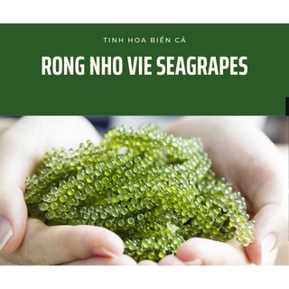 Rong nho tách nước Vie Sea Grapes - 100gr