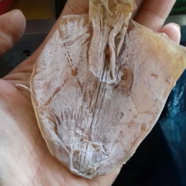 Mực nhỏ siêu ngon ngọt 100g