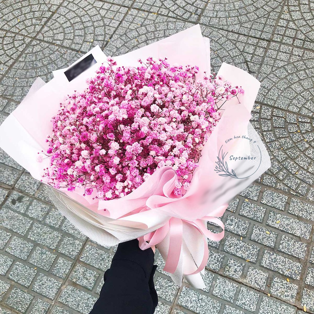 ♥️FREESHIP♥️Gypsophila🌸Hoa Baby Khô🌸 Trang trí nhà cửa, events siêu xinh