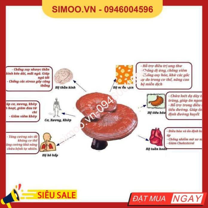 💥 ⚡ SẢN PHẨM CHÍNH HÃNG 💥 ⚡  Nấm Linh Chi Hàn Quốc Mặt Vàng, Túi Xanh 1kg 💥 ⚡