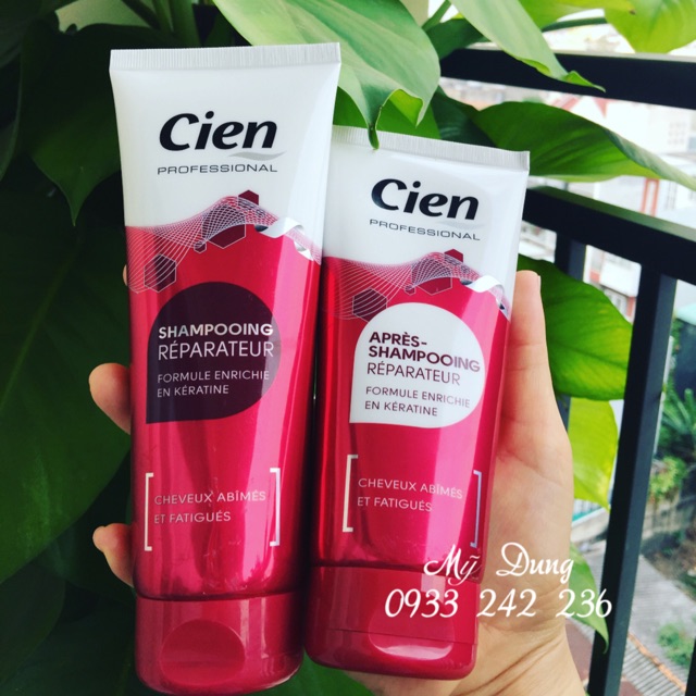 Cặp gội xã Cien