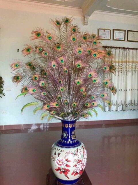 Lông công 100cm tự nhiên tài lộc | BigBuy360 - bigbuy360.vn