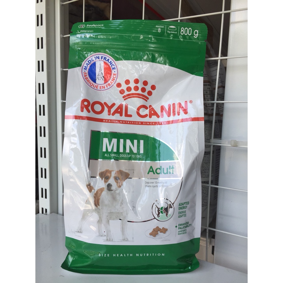 Thức ăn cho chó trưởng thành Royal Canin Mini Adult 800g - thức ăn cho chó lớn trưởng thành