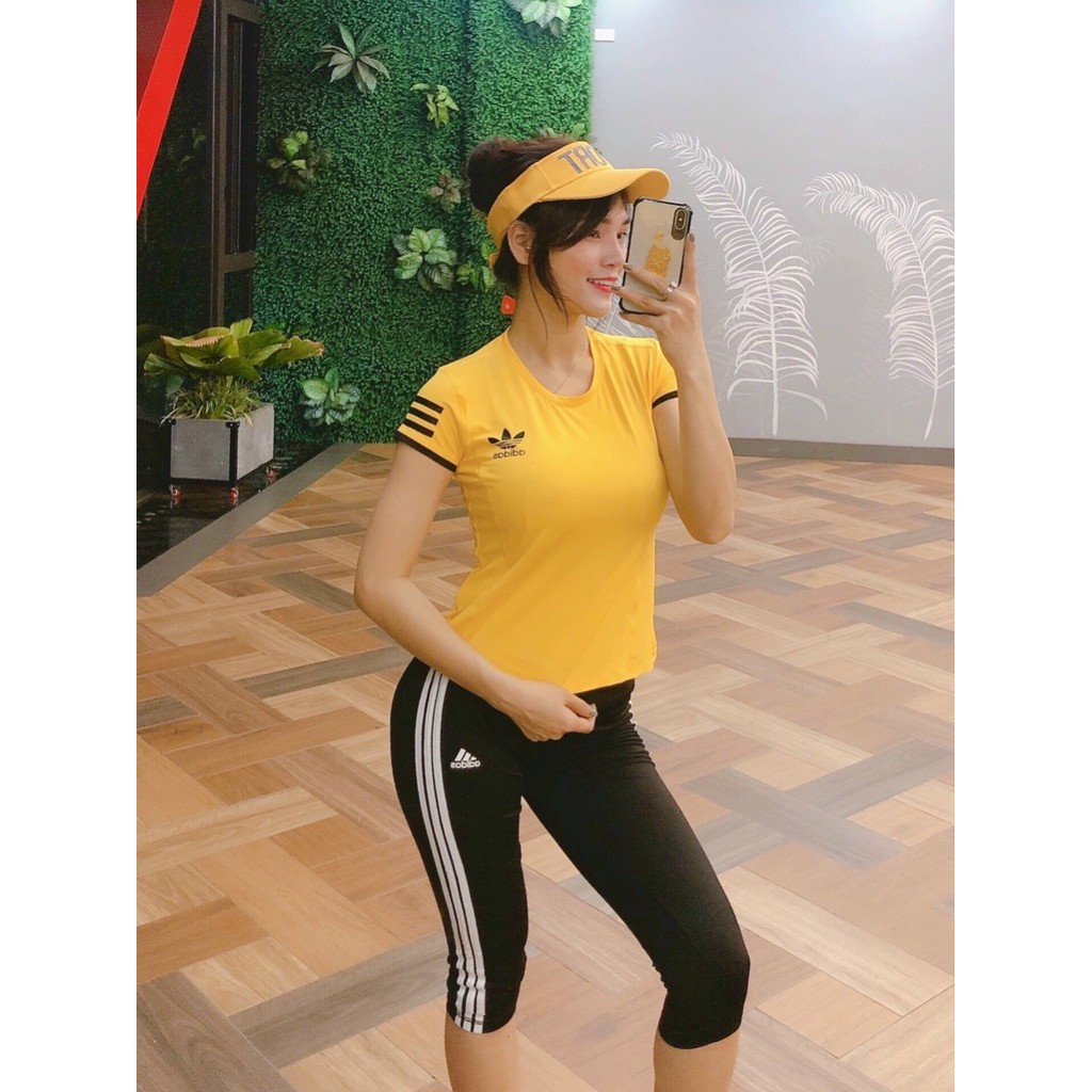 Đồ Tập Gym Nữ, Sét Bộ Quần Lửng Aó Thun Phủ Bụng Tập Gym Thể Thao Nữ Bin Sport BL020