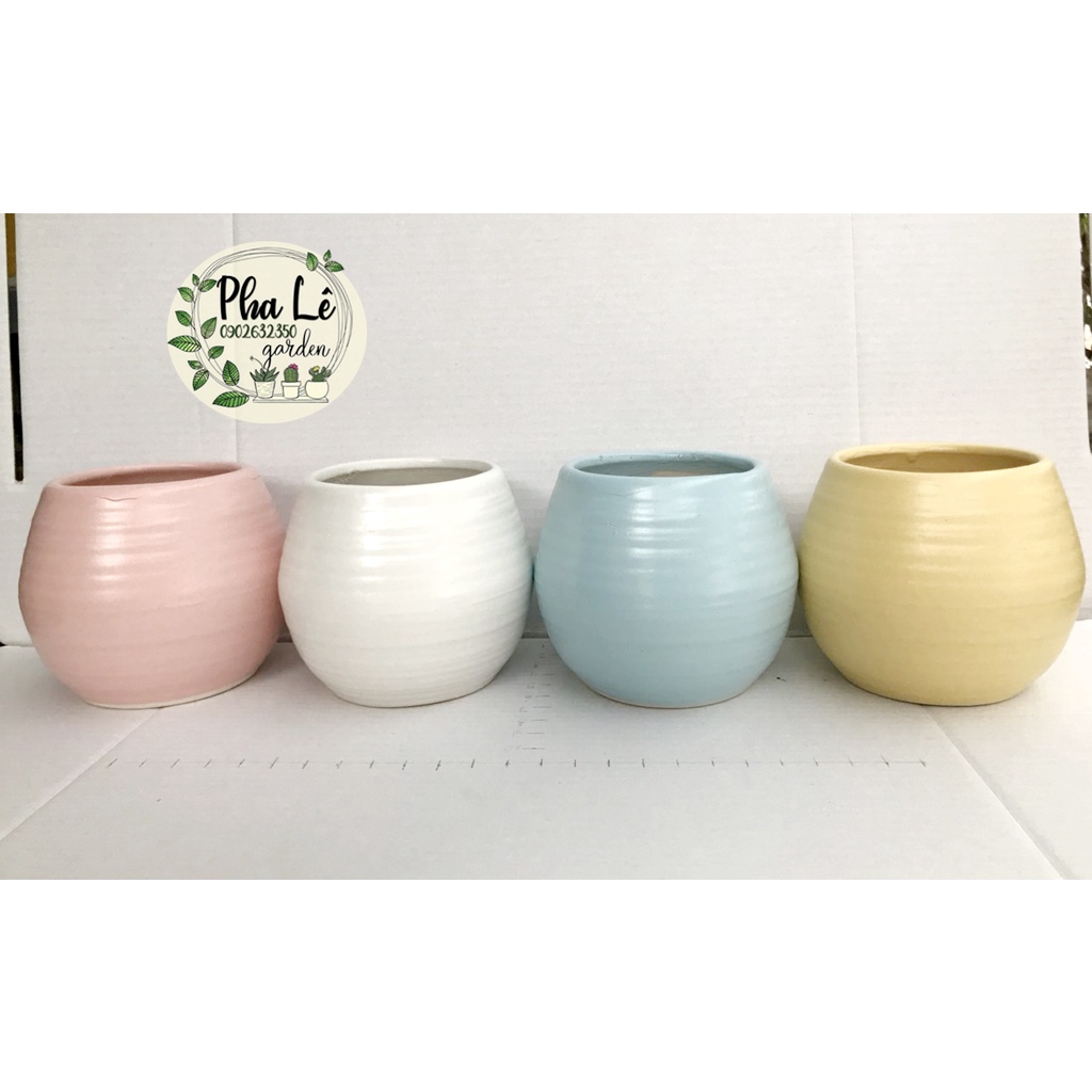 Chậu tông màu pastel dễ thương,nhiều kiểu dáng