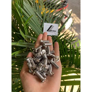 Ốc đĩa 8li Salaya