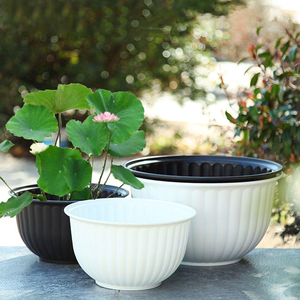 Chậu Trồng Cây Thủy Canh Dùng Trang Trí Văn Phòng