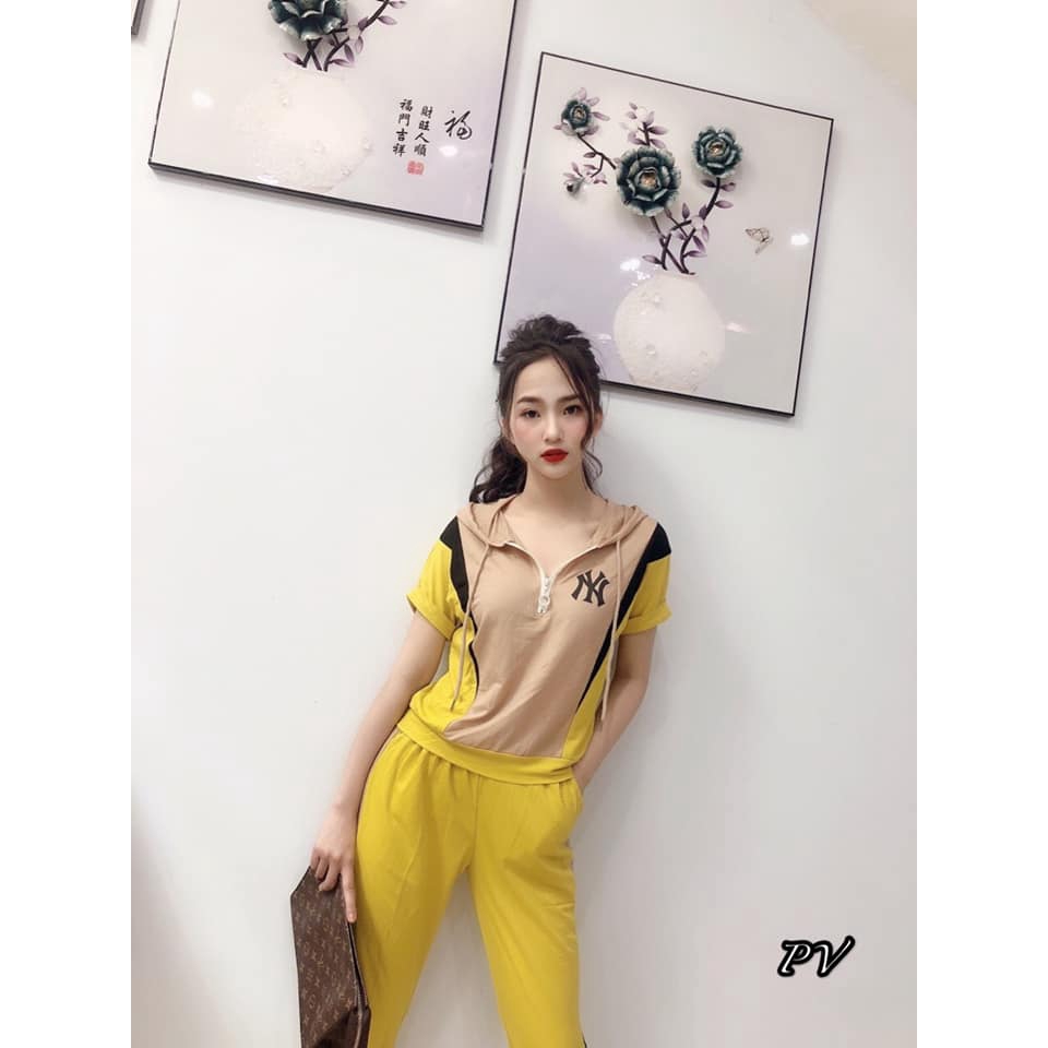 đồ bộ nữ dễ thương nhiều màu