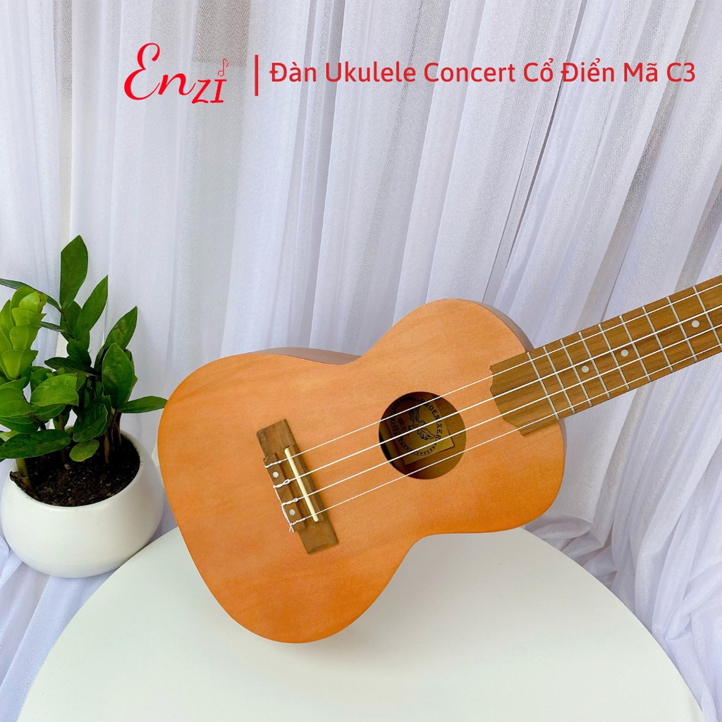 Đàn ukulele concert C18D Enzi 23 inch gỗ mộc viền tròn khóa đúc giá rẻ cho bạn mới bắt đầu tập chơi