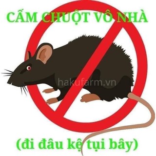 Lồng Đuổi Chuột Thái Lan