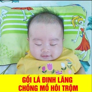 Gối đinh lăng chống mồ hôi trộm ( Hàng loaij 1)