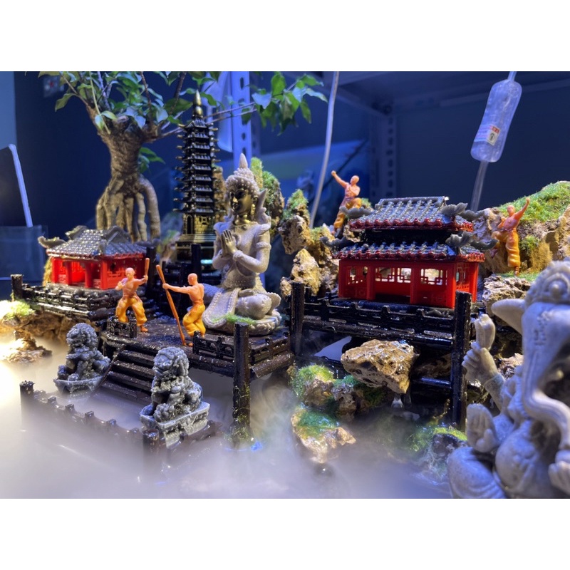 Hồ bán cạn tiểu cảnh mini 40cm phong cách Kelsey Mặt Trời Vàng