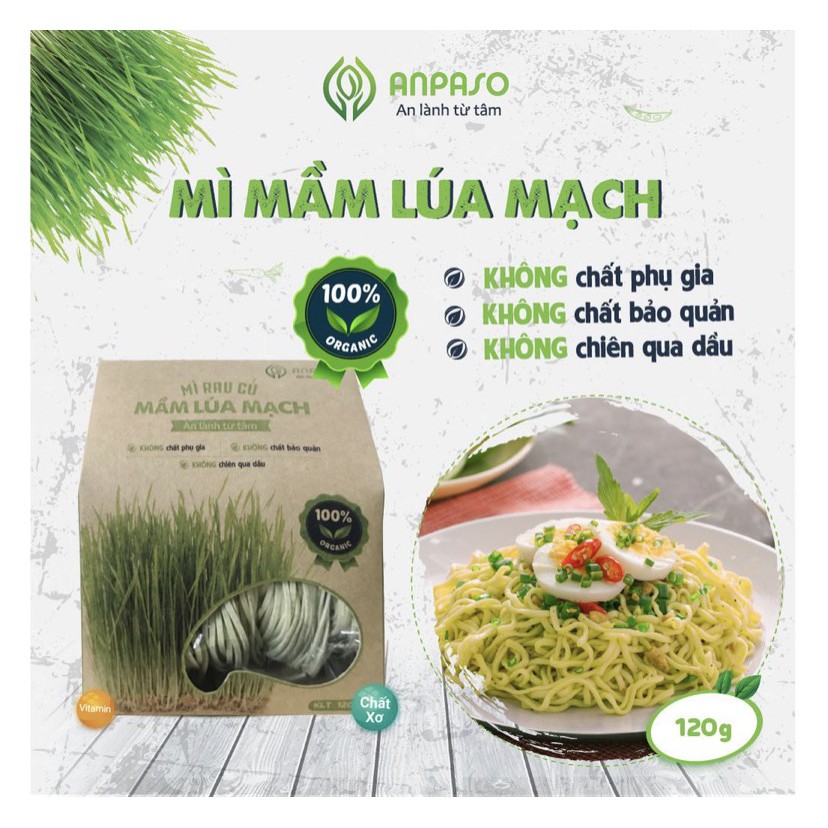 Mì Mầm lúa mạch Organic Anpaso ăn chay giảm cân 120g