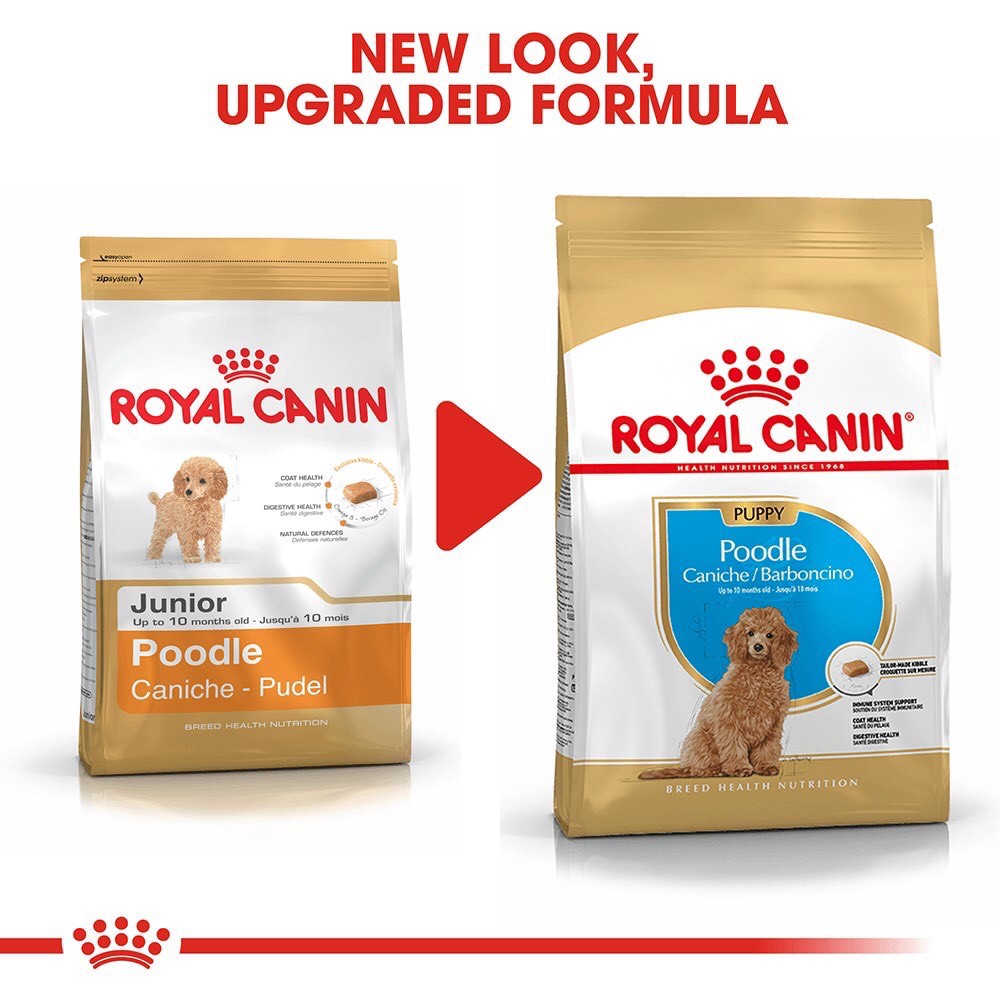 Thức ăn khô cho chó con Poodle dưới 10 tháng tuổi Royalcanin