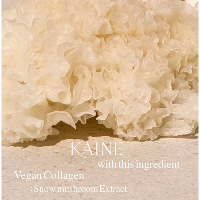 Serum nấm chaga thuần chay KAINE CHAGA COLLAGEN CHARGING SERUM