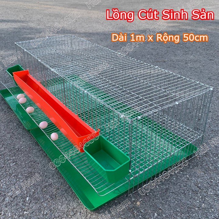 Lồng nuôi chim cút sinh sản - Lồng cút sinh sản đầy đủ phụ kiện