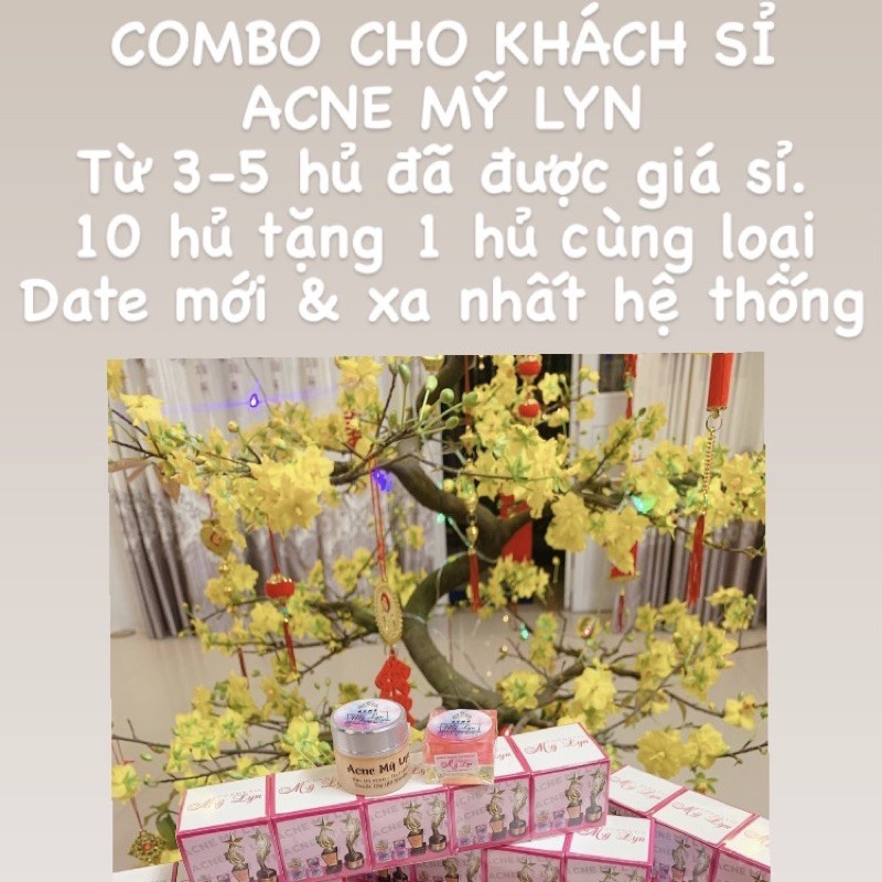 Combo Kem Acne Mỹ Lyn