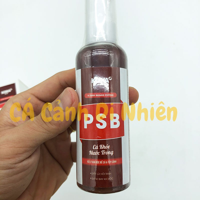 Vi sinh quang dưỡng PSB KOIKA 105ML - Vi Khuẩn Quang Hợp cho hồ cá
