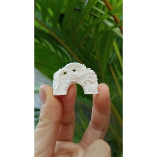 Rút cửa xương đục rồng dành cho lồng chim cảnh vành khuyên