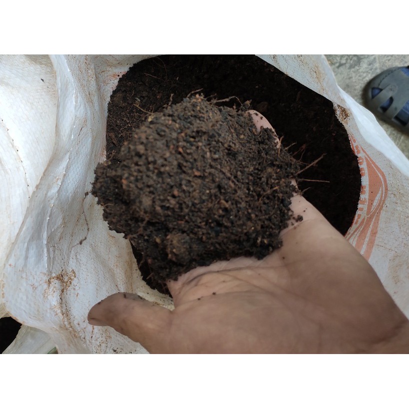 Đất trồng cây tổng hợp: đất sạch, xơ dừa