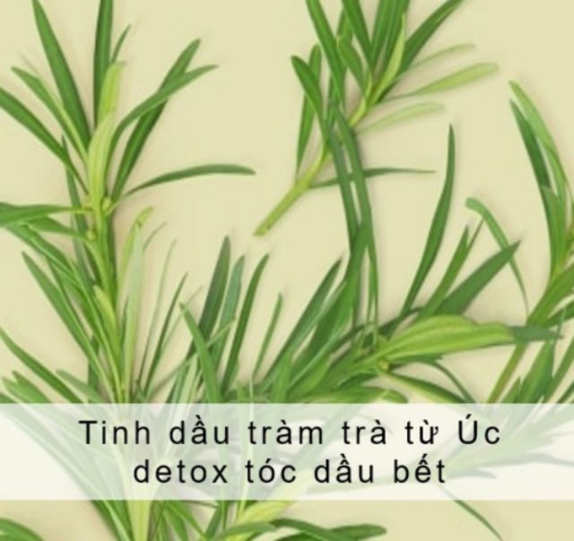 Combo Detox tóc dầu bết dầu gội &amp; dầu xả Love beauty and Planet 400ml/chai