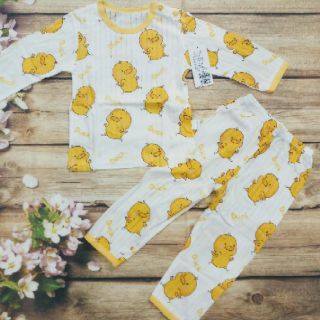 Sét 5 bộ cotton giấy QC