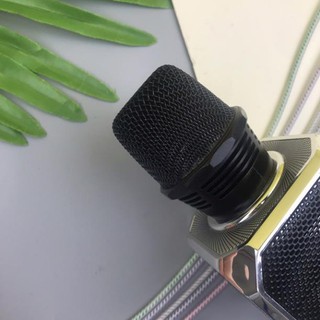 Micro Karaoke Kiêm Loa Bluetooth Sd10 Chính hãng